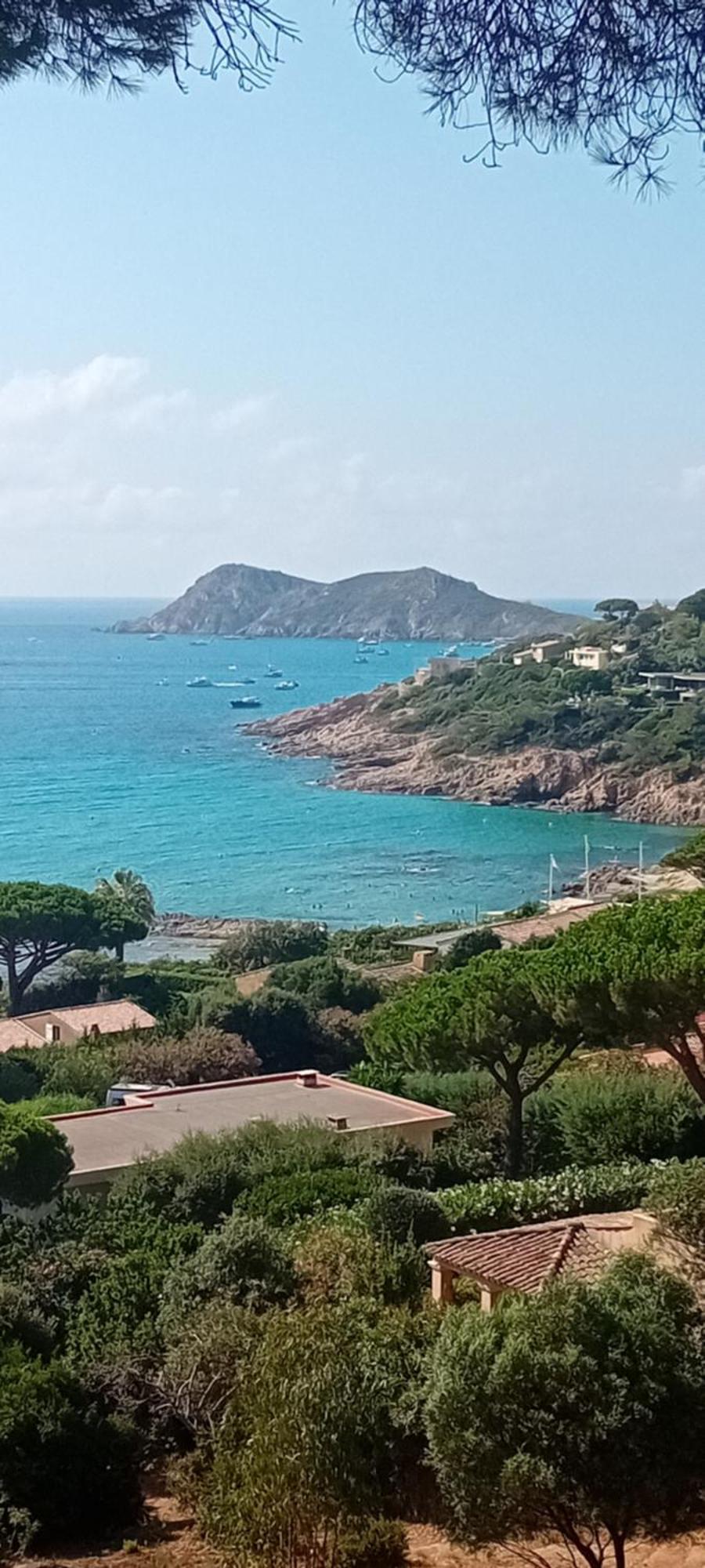 Appartement T2 A La Croix Valmer Piscine Et Tennis Bagian luar foto